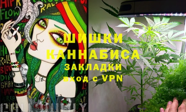 apvp Вязьма