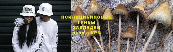 apvp Вязьма