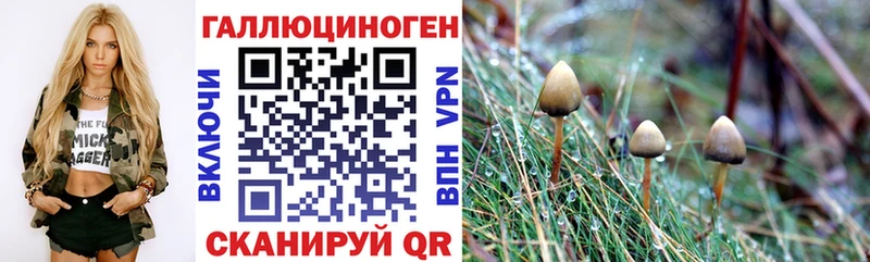 Галлюциногенные грибы GOLDEN TEACHER  Оха 
